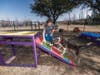 SPCA of Texas Behavior Specialist Hannah Hartman does agility training with a dog in the new Sensory Garden at the SPCA of Texas Animal Care Center in Dallas.