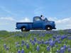 Daily admission for the Ennis Bluebonnet Trails Festival is $5 per person with children 12 and under free. There is no fee to enjoy the 40 miles of driving trails throughout the month of April. 