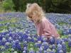Ennis was named the Official Bluebonnet Trail of Texas and the Official Bluebonnet City of Texas by the 1997 State Legislature. 
