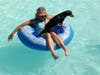 The Lucky Luau will be held noon – 3 pm Saturday, September 23rd and will benefit the City of Mansfield Animal Care and Control’s Lucky Fund, which helps provide medical care for stray pets.