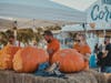 Guests also will have the opportunity to watch award-winning pumpkin carver Greg Butauski and his team create masterpieces at the festival. They will be carving pumpkins weighing up to 3,000 pounds.