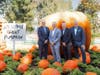 Park Place Motorcars Dallas GM Robert Hinkle; Park Place Porsche Dallas GM Patrick Huston; Park Place Volvo GM Donny Lambrecht; and Dallas Arboretum VP of Gardens Dave Forehand.