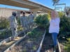The garden is a fundamental classroom for someone going through difficulty.