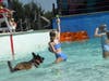 The Lucky Luau will be held at Hawaiian Falls Mansfield noon – 3 p.m. Sunday, Sept. 15th benefiting the City of Mansfield Animal Care and Control’s “Lucky” Fund, which  provides medical care for stray pets.
