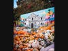 Running through November 3, guests will see more than 100,000 pumpkins, gourds, and squash from Floydada, Texas.