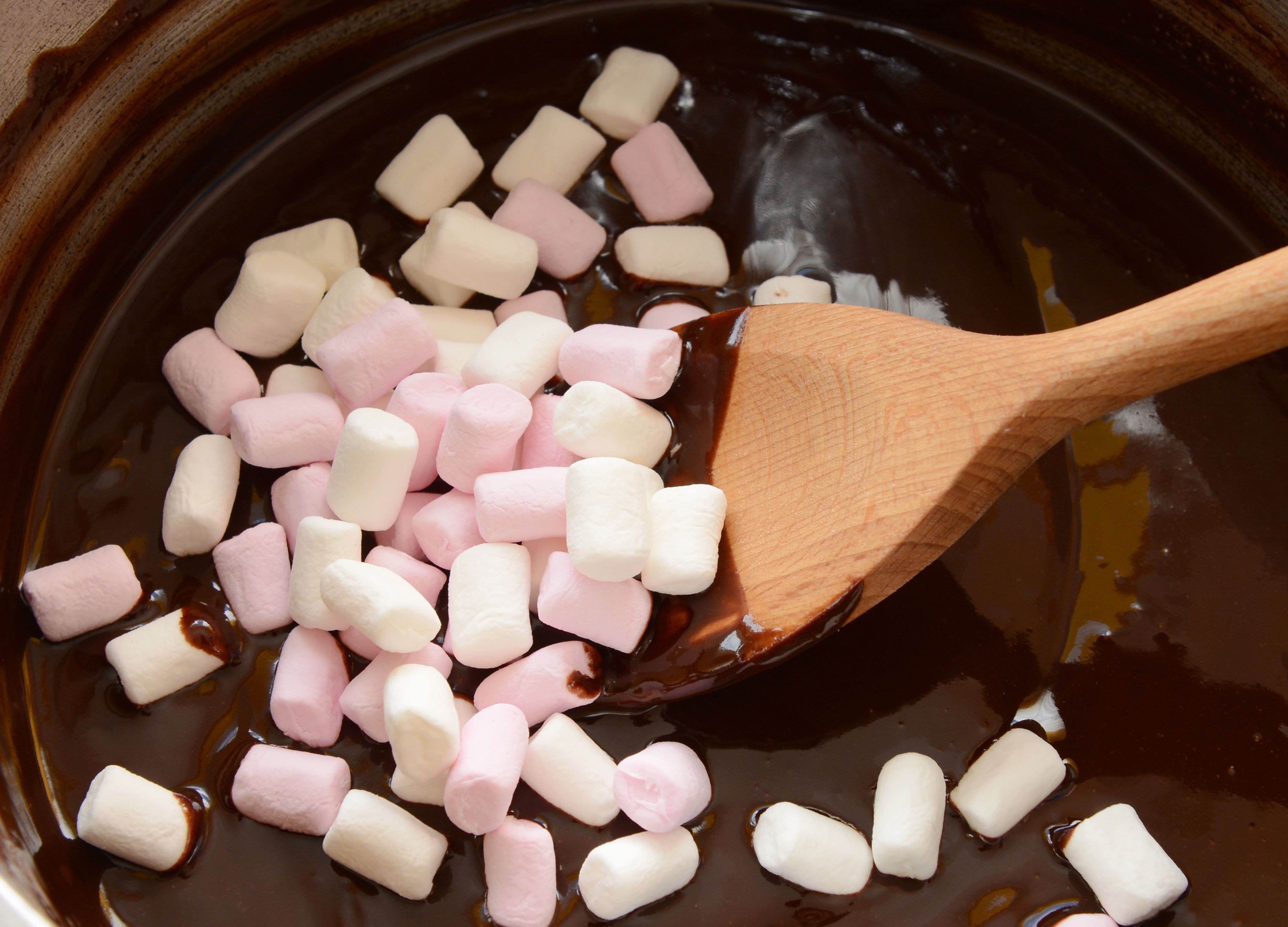 Chocolate Lovers: Cooking Camp