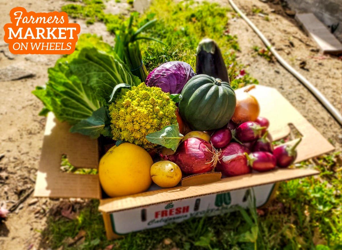 New local, seasonal fruits and veggies, delivered to your door. Palo