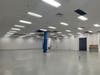 8,036 RSF of Warehouse Space
