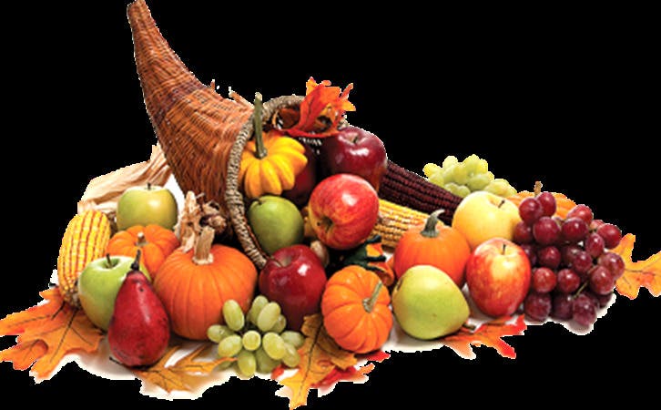 November Community HOPE DAY