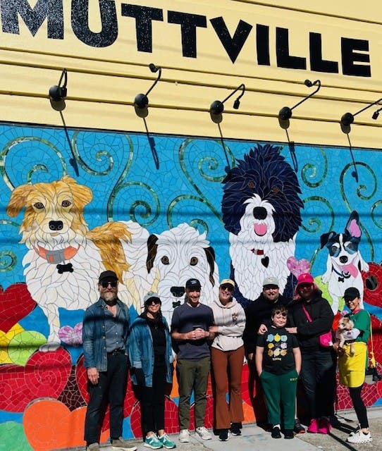 Muttville Cleanup