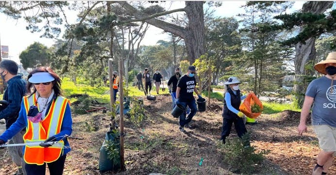 Sunset Boulevard Cleanup