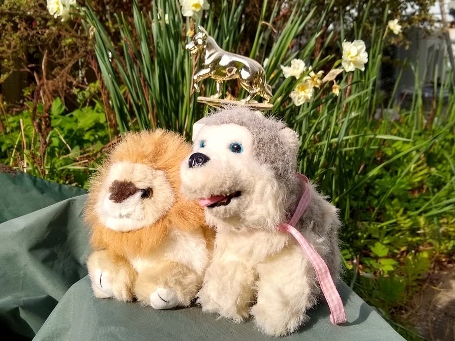 News small post card thumbnail