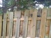 The repaired section of backyard fence has been up for so long that it's getting nicely weathered. 