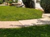 A walkway on Purple Martin Lane shows the same V-shaped inclination. Two slabs tilt toward each other, forming a shallow V shape. There is NO maintenance problem with the sidewalk here, says a concrete expert. But is it a launch-pad for HOA extortion?