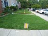Five properties in a row on Barn Swallow Terrace show “dips” in their walkways (at points 1-5). Are these "dips" a problem, or are they part of the builder's original design, functioning to channel the runoff as originally intended?