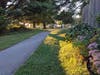 A pleasant view in Quail Valley, Maryland, looking up toward playground in Strawberry Knoll (county) Park. Virologists learned that it's safer for kids to play outside than bunch together indoors--and catch COVID-19. The playground was re-opened, wisely.