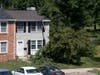 In 2012, a large limb broke off this same white pine tree and tore down part of the gutter. Other heavy branches, emerging from the same damaged spot on the trunk, will break off again, sooner or later. Not a healthy tree. Not safe to be below it.