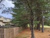 The tree on the left leans toward the house on Sandpiper Lane. There's many more hazardous trees in Quail Valley. Residents need a survey of the entire neighborhood. Any tree over 20 feet must be evaluated by an arborist (Maryland State Regulation).