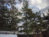 The HOA has cut down one tree along Quail Valley Drive. But is this leaning, curved pine tree slated to be removed? The residents here need to see the plan. We have a right to know. Please  involve us. Leave a map in our door showing the targeted trees. 