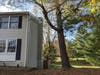 A white rope hangs from the left side of the pine tree for measuring the "angle of lean." See https://treeinspection.com/is-my-leaning-tree-going-to-fall, as well as the Tree Risk Assessment guidelines of the International Society of Arboriculture. 