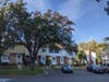 This Bradford pear tree drops fruit (staining surfaces) every year, and occasionally branches too, on cars and sidewalks on Grosbeak Terrace. This variety of tree is a terribly invasive species, and soon to be banned in Ohio and South Carolina. 