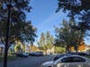 Photo shows Bradford pears on Grosbeak Terr. An arborist can rank their ISA hazard level and help the HOA schedule their removal appropriately. Residents should not have to tediously battle the HOA for every removal. We have lives to live. Please. 
