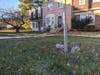 Five feet away, there's another tripping hazard, a sinkhole. This hazard still today  (11/25/2021) awaits HOA attention. How long before the HOA will attend to this simple problem? Do residents have to fix that as well?