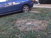 Here is the cap after folks brought in soil & raised the level of the turf around it. Voilá. No more tripping hazard. See the video & watch how how to do it. At no cost. No help from the HOA. Residents pay $600,000 per year to the HOA for its services.