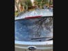 Three days after the car is washed, it looks like this, parked under a Bradford pear. If the HOA does not have funds to remove these trees this year, could they be added to a schedule of prioritized tree removal & replacement in Quail Valley? 