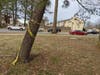 2) The HOA spends $25,000+ per year on tree maintenance, but fails to remove this leaning, HOA-owned white pine near the community's entrance. A backyard fence is just feet away. Is this an approved method for "building community spirit"? 
