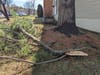 This limb fell next to a house on Barn Swallow Terrace during the ice storm. This break was predicted. More will come. Is the Quail Valley HOA negligent if a resident, in their home, gets injured by an HOA-owned tree falling on their roof? 