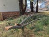Ice droplets weighed down, and finally broke, this limb, which missed the house. Tons of wood overhangs the roofline of this end unit on Bobwhite Circle in Quail Valley. The HOA rebuffs the family's request to  remove these unstable, HOA-owned trees. 