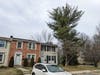 This view shows the great mass of tree looming over the house on Barn Swallow Terrace. NW winds blow from the right side in this photo. Is the top of the tree stable?