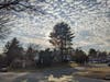 Does the HOA have a 30-year urban forestry plan? Priority #1, take down huge, HOA-owned white pine trees that were planted mere inches from houses, decades ago. The HOA had funds to put gutters on the community barn, of dubious purpose. 

