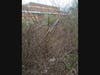 Six-foot-high thorn bushes (multiflora rose and wineberry) filled the space across from the front of the school. Trash and lost playground balls hid below. Volunteers changed this landscape into an attractive "huerta," growing both food and flowers. 