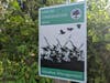 The goal of Montgomery County Park's meadow management program aims to protect this natural habitat "with minimal disturbance by staff." Occasional spot mowing and cutting of unwanted tree saplings are used to control non-native invasive species. 
