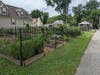 The St. Michael's Community Garden on the Eastern Shore resembles the layout of the land next to Strawberry Knoll Elementary School. It suggests how our school-community garden could be constructed and managed here in Montgomery County.