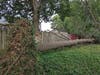 On a windy day in late July 2023, this 168-foot white pine tree uprooted and fell along the fence line spanning six townhomes.