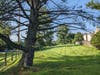 The angle of lean is about 13 degrees. Other huge pines, already discussed, are even closer to houses, but let's add this one to the list. It's near 9242-9244 Hummingbird Terrace.