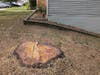 This year, Quail Valley HOA made a concerted effort to take down ALL of the hazardous trees, about 10. At least once a year, an arborist will survey the common grounds, spotting problems and discussing them with residents. 