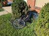 Bicycles, books, soccer balls, dolls, and skate boards show that children are spending time in the real world this summer, and not fastening their brain cells to a cell phone. Adults should rejoice in this, right? 