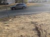 Preventing erosion as we plant new grass seed is good, but let's not use a plastic mesh net to do that. 