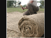 Jute Mat Erosion Control Blanket, by Forestry Suppliers.