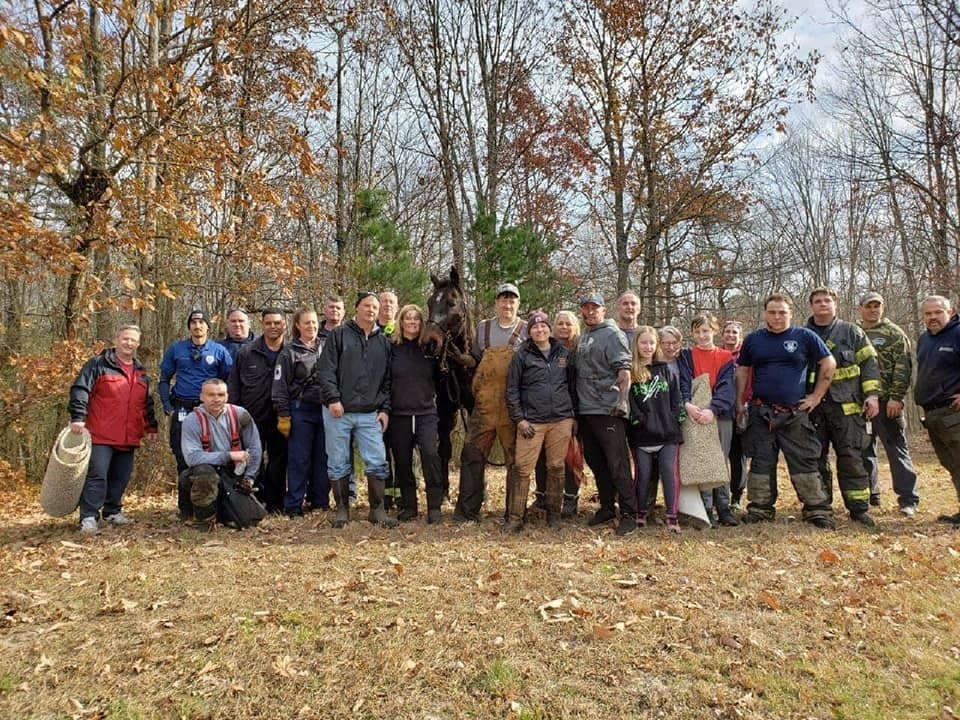 NJ Horse Trapped In Deep Mud Rescued By Firefighters | Freehold, NJ Patch