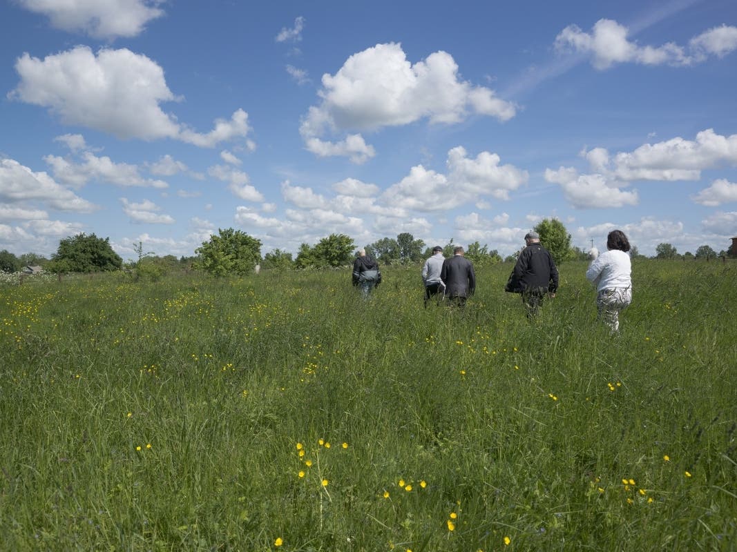 News small post card thumbnail