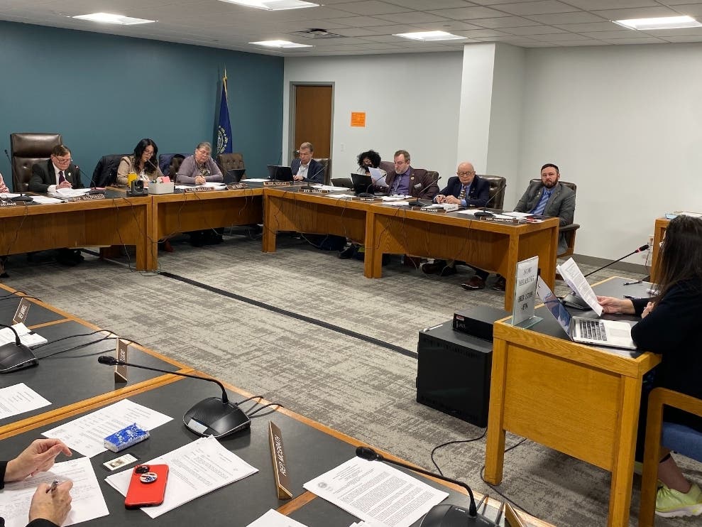 State Rep. Kelley Potenza presents her bill, House Bill 1719, to the House Health, Human Services, and Elderly Affairs Committee on Jan. 14.