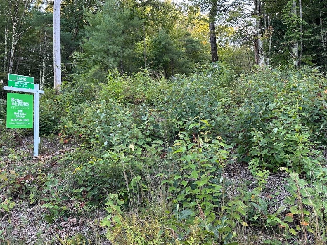 Housing advocates have long argued the best way to make single-family homes more accessible for young families is to build on smaller lots. Here, land is listed for sale on Route 114 in Henniker.