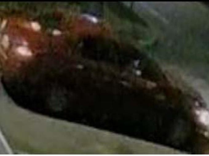 A photo of the car fleeing in March after an acid attack in Elmont. 