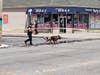 Police investigate a shooting in Elmont. 