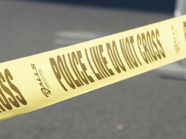 A woman was stabbed to death Thursday night in a North Bellmore home. 